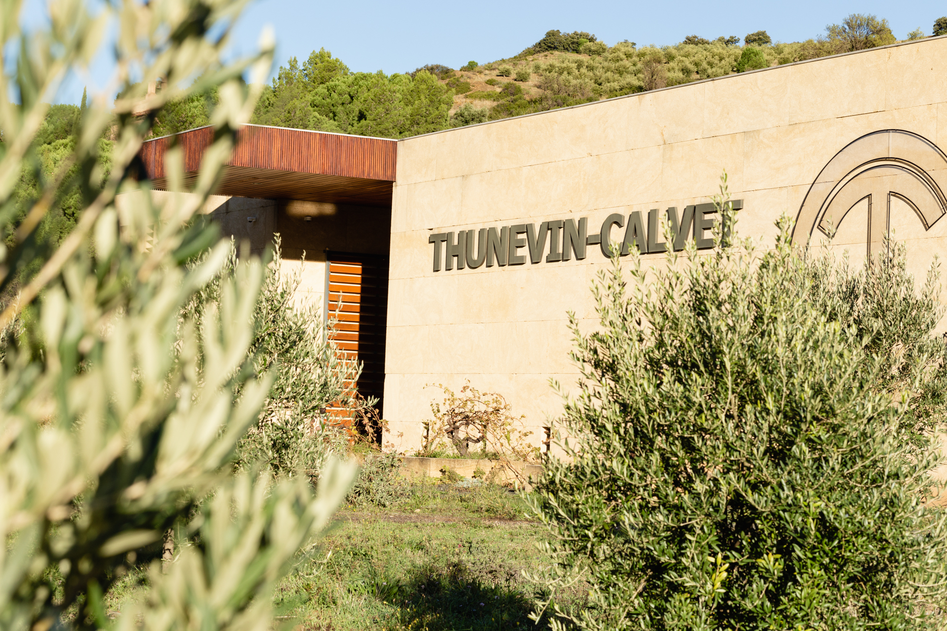 thunevin calvet gallerie domaine photo 4