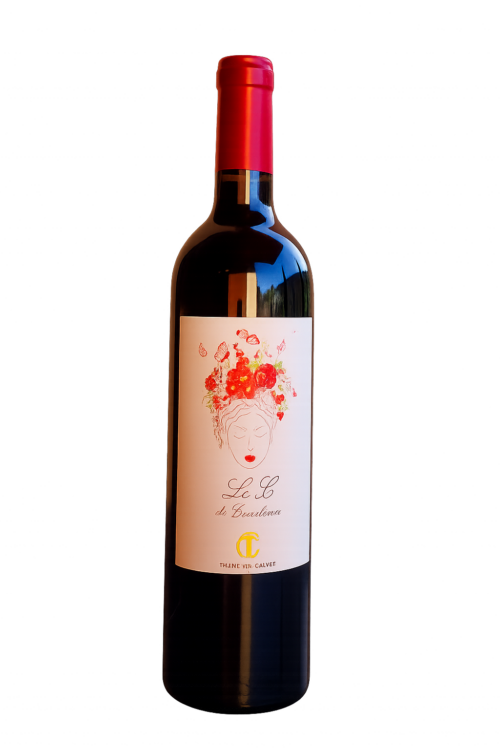 ChatGPT Image 19 nov. 2025 10 11 59 500x750