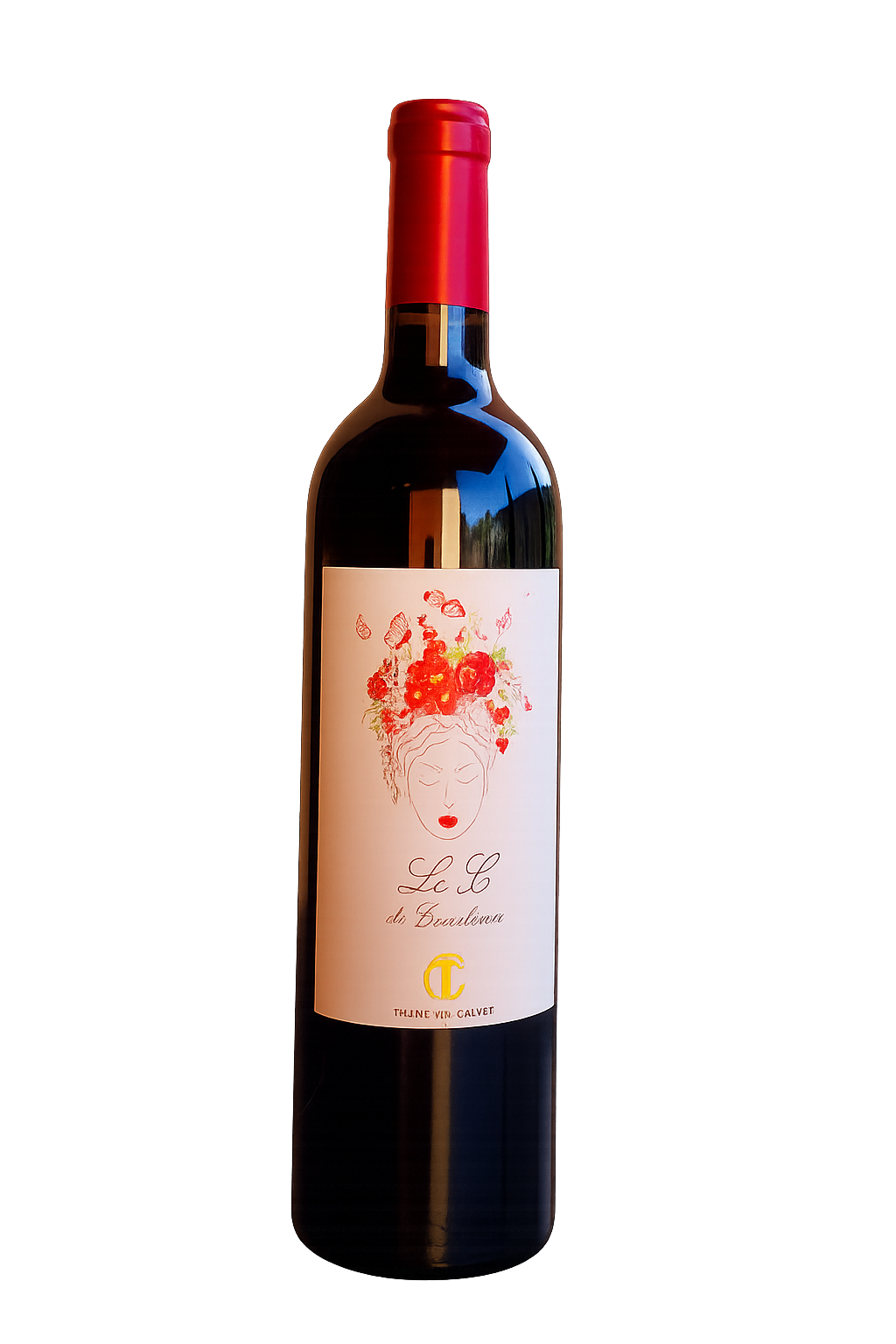 ChatGPT Image 19 nov. 2025 10 11 59 - nos-vins-rouges