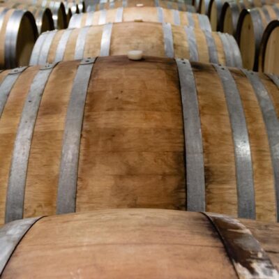 IMMERTION DANS LUNIVERS VIGNERON 1 400x400